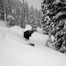 D&aring;ligt v&auml;der, bra sn&ouml;. Foto: fredrik Martinsson. &Aring;kare: Daniel forsberg.