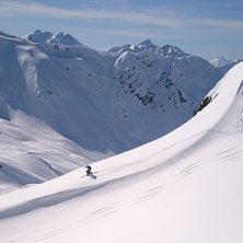 Maroikopf-Langen. Foto: Andreas Bj&ouml;rhn. &Aring;kare: Niklas Vogel.