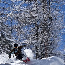 Frida satsar fullt ut. Foto: Robin Ljungqwist. &Aring;kare: Frida Alderin Harling.