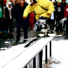 sk&ouml;n &aring;kning p&aring; g&ouml;teborg railjam :). Foto: Elin Pedersen. &Aring;kare: Oskar Pedersen.