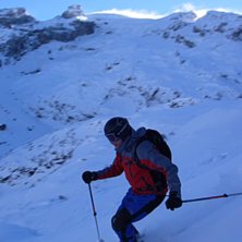 bj&ouml;rn. Foto: Malin Suneson.