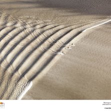 Foto: Scott Dickerson. &Aring;kare: Mike McCune, Eric Newbury, Dave Calkins.