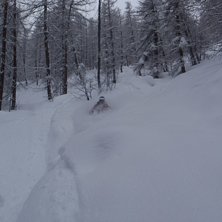 Djupt. Foto: Anton Lif. &Aring;kare: Alexander &Ouml;stlund.