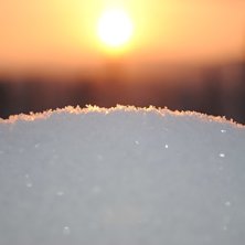 Foto: Linn &Ouml;stlund.