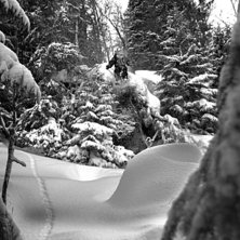 Skogsdropp. Foto: Christoffer G&ouml;the. &Aring;kare: Patric Karlsson.