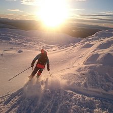 S&auml;songens f&ouml;rsta sv&auml;ngar!.