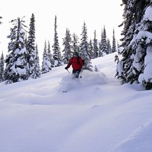 Foto: Stefan Vikberg. &Aring;kare: Patric G Renstr&ouml;m.