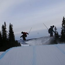 Foto: don lito. &Aring;kare: jag och seal.