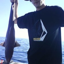 Foto: stockholmare. &Aring;kare: claes.