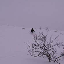 Foto: marcus wadsten. &Aring;kare: henrik ringels.