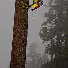 Jacob Wester hoppar upp p&aring; ett stort tr&auml;d i 
Si. Foto: Mattias Fredriksson. &Aring;kare: Jacob Wester.
