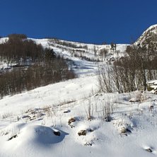 PUDDER
Stolheislia bader seg i sol. Stolheis &aring;pen.