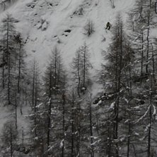 Foto: Jeff. &Aring;kare: Danne, Martin, Mats och Henrik.