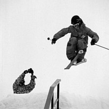 Norsk jibb talag som kommer att synas i en del fil. Foto: Jesper Molin (www.jesperphoto.com). &Aring;kare: Espen Linnerud.