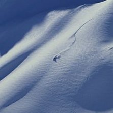 Foto: Johanna Carlsson. &Aring;kare: Aaron McGovern.