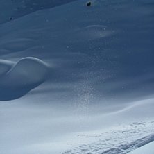 magic powder. Foto: alby.