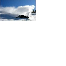 Detta &auml;r v&aring;r v&auml;n Lance som ska v&auml;ja f&ouml;r att i. Foto: Jossan. &Aring;kare: Lance.