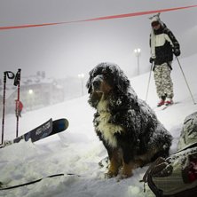Railjam, &Aring;re Skidtestarhelg 2013..