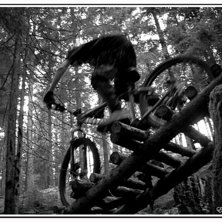 Anton uppe bland NS-ramperna i Norsesund. . Foto: Eric Westling. &Aring;kare: Anton Holm.