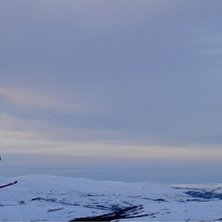 En klassisk K&Ouml;TTBULLE!!!. Foto: Malin Blomqvist. &Aring;kare: Emil Albano.