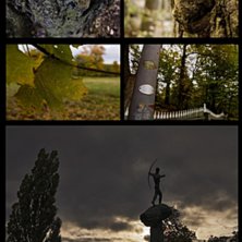 gick runt o pl&aring;tade lite h&ouml;stbilder, sv&aring;rt att . Foto: Anton Westberg.