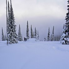 Foto: Stefan Vikberg. &Aring;kare: Patric G Renstr&ouml;m.