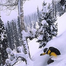 Foto: Carl Skoog. &Aring;kare: Tobias Liljeroth.