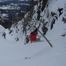 Foto: Linus B. &Aring;kare: Luke the duke.