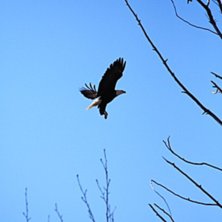 Foto: Sebastian Garhammer och Jon Larsson.