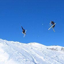 3 nose og 3 tail. Foto: Brunjulf Tveit. &Aring;kare: &Aring;smund knapstad H&aring;rklau og vinjar sl&aring;tten...