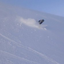 &Aring;res baksida i ditbl&aring;st puder. 
. Foto: Henrik. &Aring;kare: Johan Waldelius.