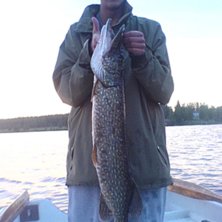 Softar en  g&auml;dda yeah  !. Foto: rejnar. &Aring;kare: jag.