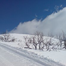 Nice med lite sn&ouml;!. Foto: Danne Persson. &Aring;kare: ingen.