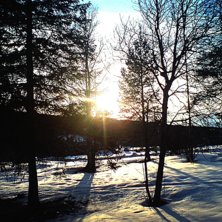 Fick till ett ganska bra kort me mobilen;) . Foto: Johan Lundin. &Aring;kare: Tr&auml;den.