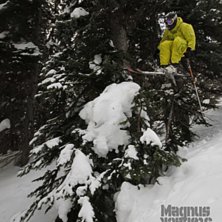 Foto: Magnus St&ouml;back Bj&ouml;rsvik. &Aring;kare: Erik Lidas Lidstr&ouml;m.