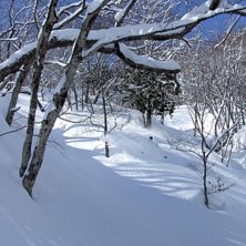 Foto: Kalle Karikoski. &Aring;kare: Ville Eskonen.