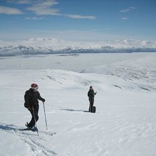 Det &auml;r nog inte s&aring; dumt att knata &auml;nd&aring;... Foto: Nina &Ouml;qvist. &Aring;kare: Mjuren o Cattis.
