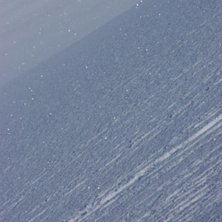 Den h&auml;r sn&ouml;n smakade gott!. Foto: Mikael Thorn.