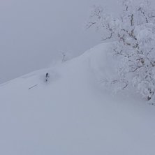 djupsn&ouml;. Foto: p&auml;r dahlin. &Aring;kare: maeda takeda.