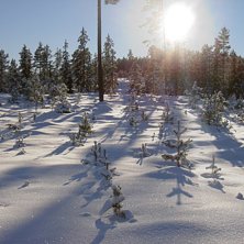 Foto: Markus Danielsson.