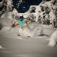 En vanlig dag p&aring; Bj&ouml;rnrike!. Foto: Erik Hammarsten. &Aring;kare: Marcus Jungerstam.
