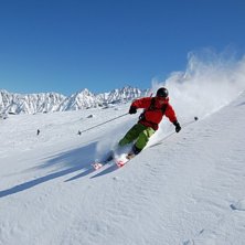 Foto: Magnus Gustavsson. &Aring;kare: Alpvalp.