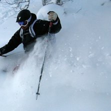 Lite skogs&aring;kning. Foto: Petteri Koste. &Aring;kare: Henrik Mideroos.