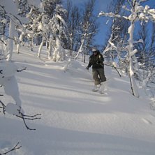 Foto: linda persson. &Aring;kare: isak st&aring;lenhag.