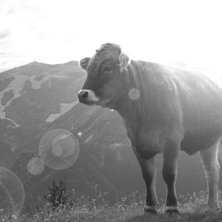 Foto: me. &Aring;kare: she wants to stay anonymous.