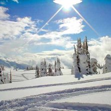 Foto: Viktor Lennmalm.