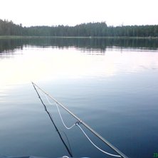 fr&aring;n flytringen
kan inte bli s&aring; mkt b&auml;ttre i v. Foto: frej lindstr&ouml;m.