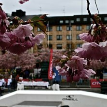 Foto: Felix Grunert.