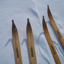 Tegsn&auml;sarna beh&ouml;ver ocks&aring; rastas ibland...

F. Foto: Annica Forsberg. &Aring;kare: Tegsn&auml;s.