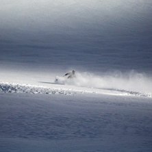 Clacier d Argentier. Foto: Tomas Gustavsson. &Aring;kare: H&aring;kan Friman.
